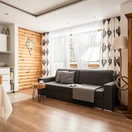 Odskocznia - Sauna, Centrum - Skocznia, Апартаменты Закопане