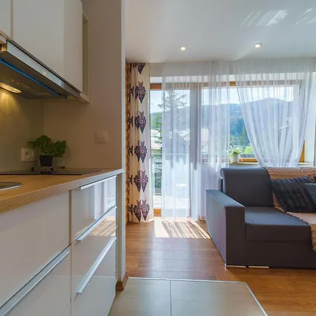 Odskocznia - Sauna, Centrum - Skocznia, Apartmán Zakopane